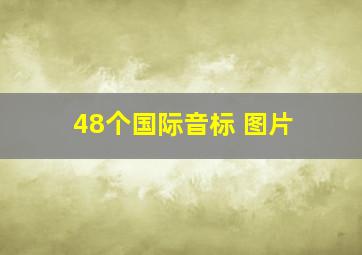 48个国际音标 图片